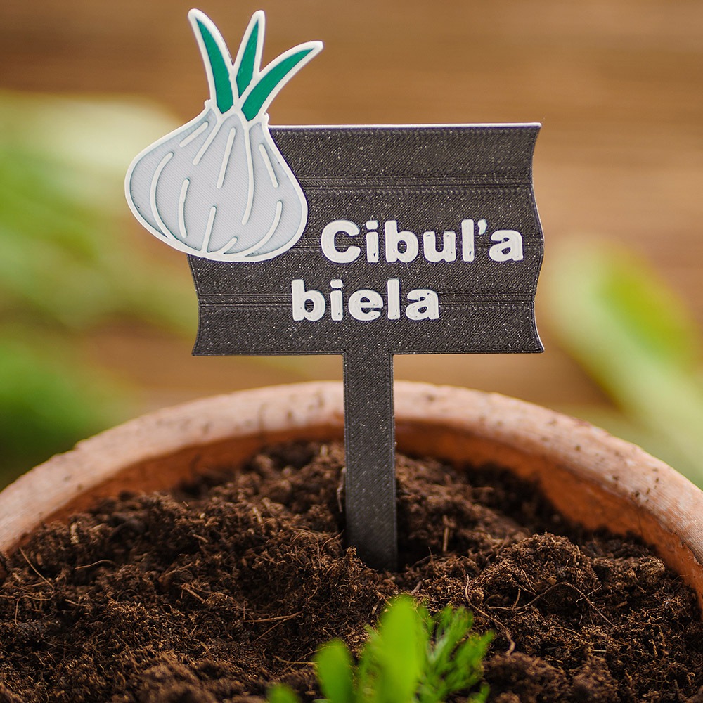 spaty-s-prirodou-zahradna-cedulka-cibula-biela-kvetinac